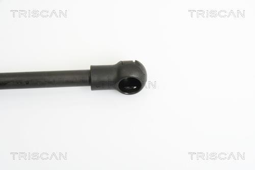 Vérin (Vérin de hayon) Triscan A/S ref. 8710 11116