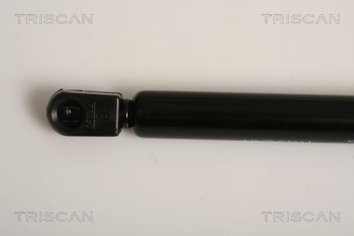 Vérin (Vérin de hayon) Triscan A/S 8710 11118