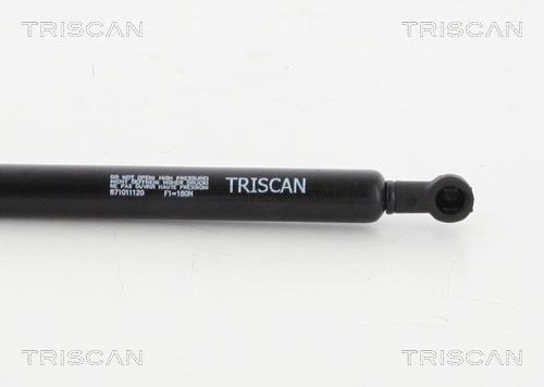 Cilindro Triscan A/S 8710 11120