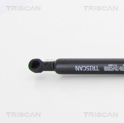 Cilindro Triscan A/S 8710 11120