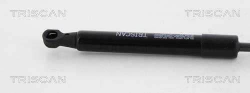 Cilindro Triscan A/S 8710 11123