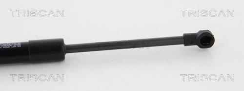 Cilindro Triscan A/S 8710 11123