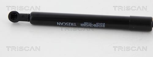 Vérin (Vérin de hayon) Triscan A/S 8710 11124