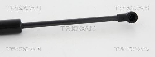Vérin (Vérin de hayon) Triscan A/S 8710 11124