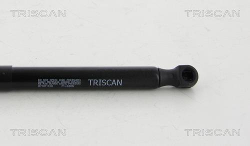 Vérin (Vérin de hayon) Triscan A/S 8710 11128