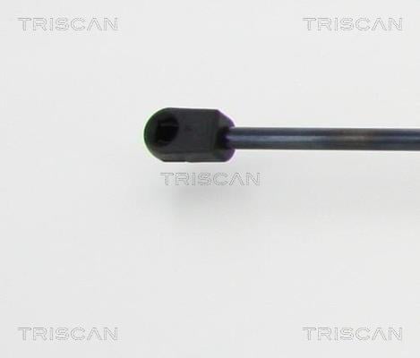 Cilindro Triscan A/S 8710 11131