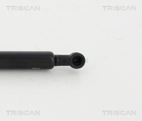 Cilindro Triscan A/S 8710 11131