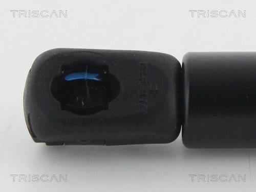 Cilindro Triscan A/S 8710 11132