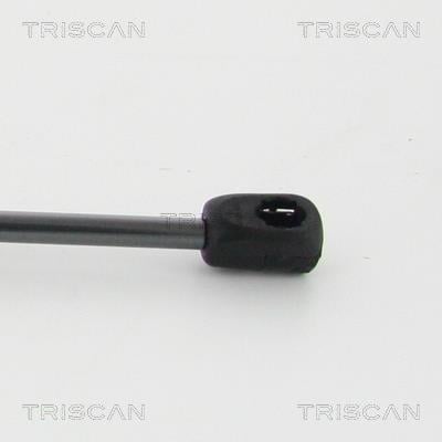 Cilindro Triscan A/S 8710 11132