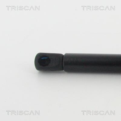 Vérin (Vérin de hayon) Triscan A/S 8710 11133