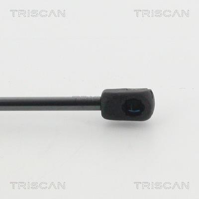Vérin (Vérin de hayon) Triscan A/S 8710 11133