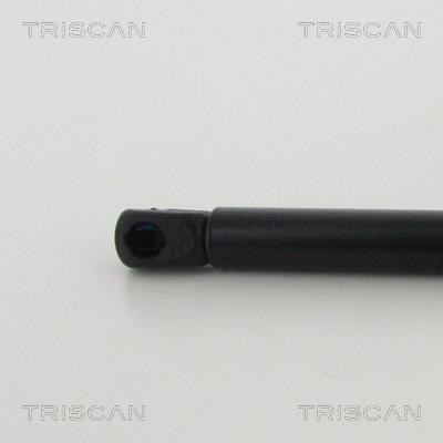 Vérin (Vérin de hayon) Triscan A/S 8710 11134