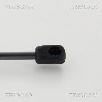 Muelle neumático Triscan A/S 8710 11136