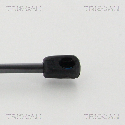 Muelle neumático Triscan A/S 8710 11136