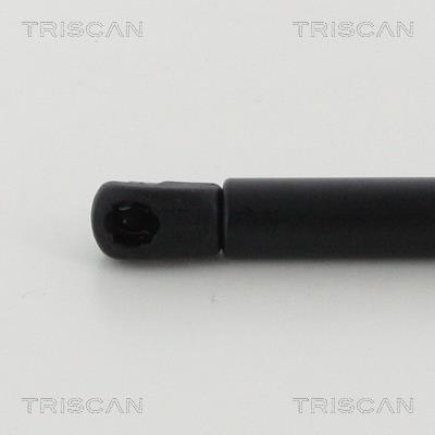 Muelle neumático Triscan A/S 8710 11136
