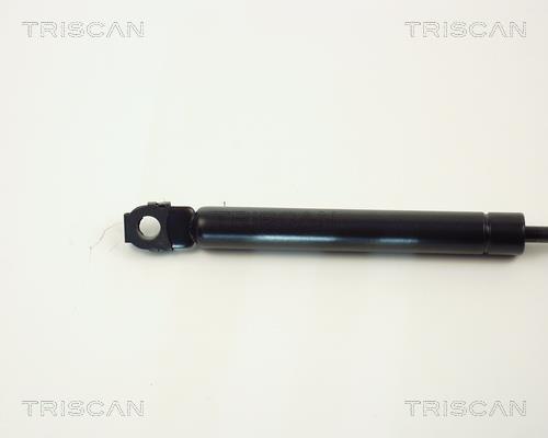 Cilindro Triscan A/S 8710 1113