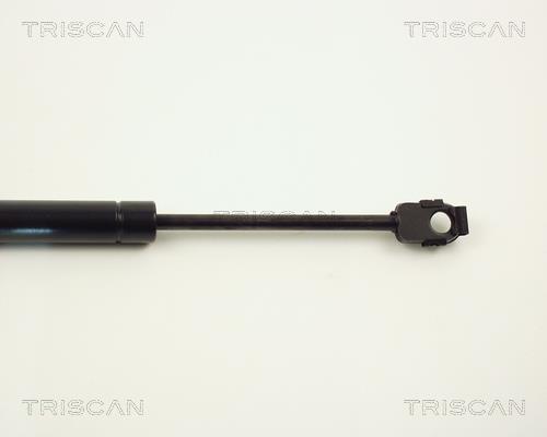 Cilindro Triscan A/S 8710 1113