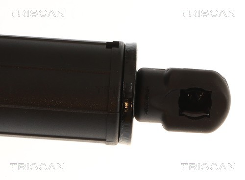 Vérin de hayon, de coffre (Vérin de hayon) Triscan A/S 8710 11144