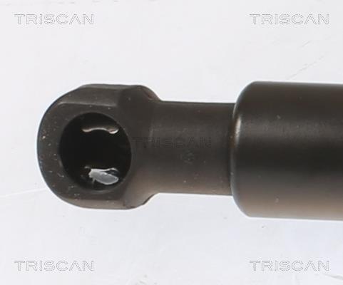 Vérin (Vérin de hayon) Triscan A/S 8710 112017