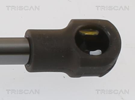 Vérin (Vérin de hayon) Triscan A/S 8710 112017