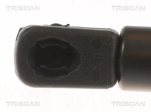Vérin (Vérin de hayon) Triscan A/S 8710 112018