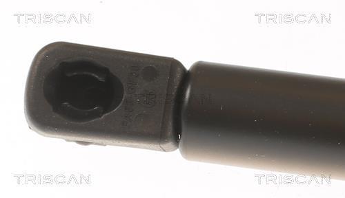 Muelle neumático Triscan A/S 8710 112019