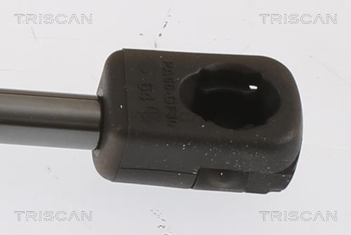 Muelle neumático Triscan A/S 8710 112019