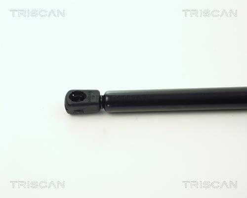 Vérin (Vérin de hayon) Triscan A/S ref. 8710 11201