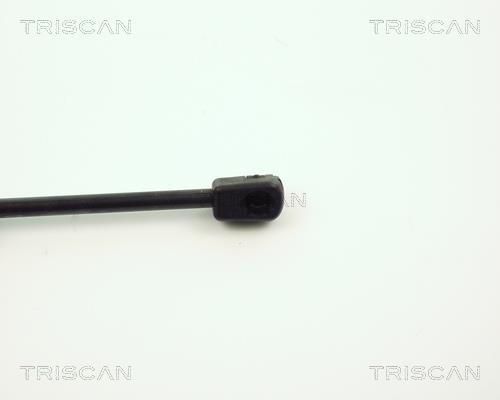 Vérin (Vérin de hayon) Triscan A/S ref. 8710 11201