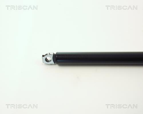 Vérin (Vérin de hayon) Triscan A/S 8710 11202