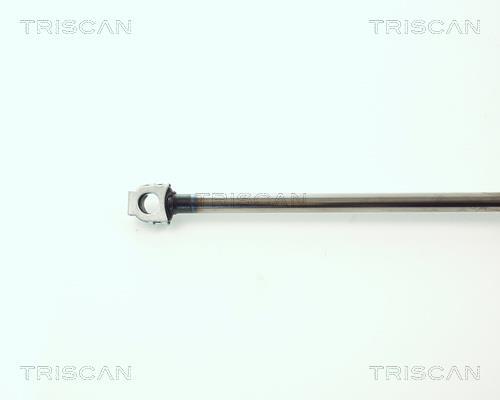 Vérin (Vérin de hayon) Triscan A/S 8710 11202