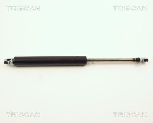 Muelle neumático Triscan A/S 8710 11203