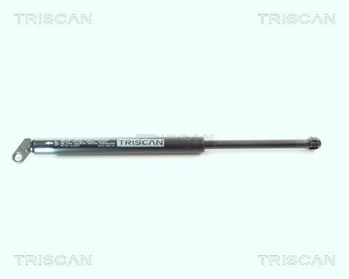 Vérin (Vérin de hayon) Triscan A/S ref. 8710 11207