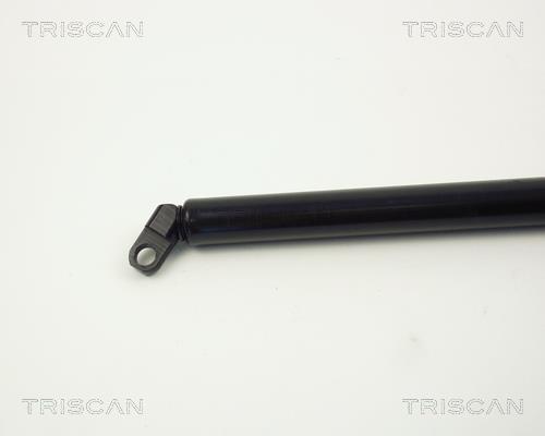 Vérin (Vérin de hayon) Triscan A/S 8710 11208
