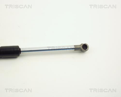 Vérin (Vérin de hayon) Triscan A/S 8710 11208