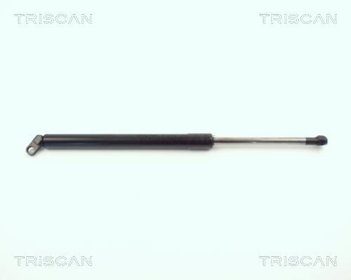 Vérin (Vérin de hayon) Triscan A/S 8710 11209