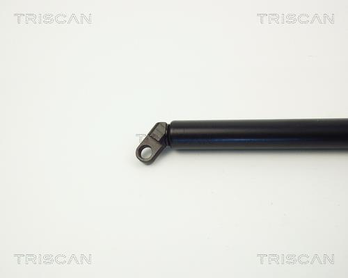 Vérin (Vérin de hayon) Triscan A/S 8710 11209