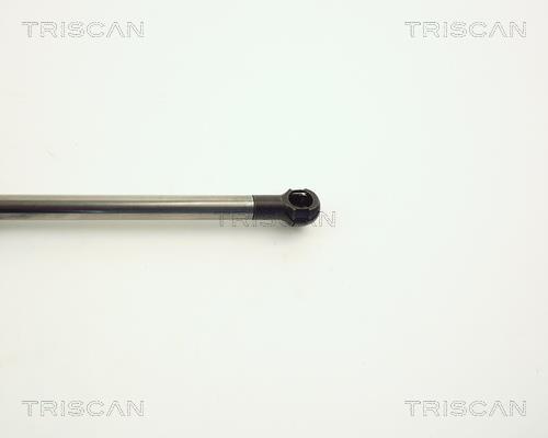 Vérin (Vérin de hayon) Triscan A/S 8710 11209