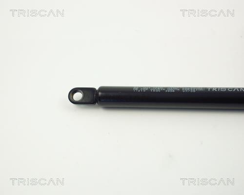 Vérin (Vérin de hayon) Triscan A/S 8710 11210