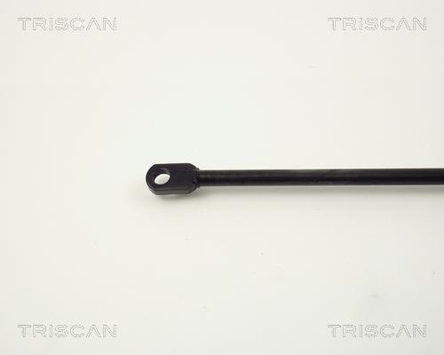 Vérin (Vérin de hayon) Triscan A/S 8710 11210