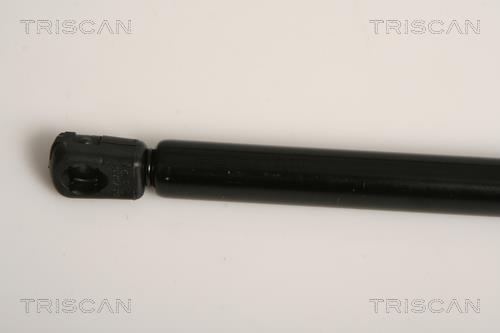Vérin (Vérin de hayon) Triscan A/S ref. 8710 11211