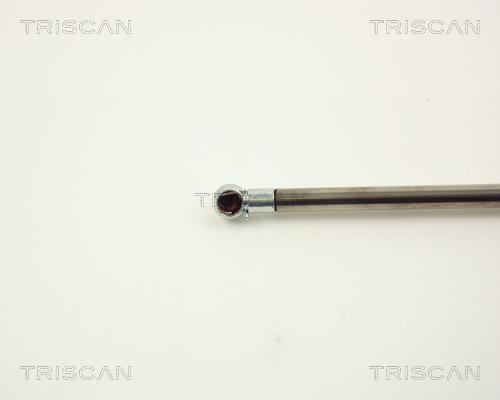 Vérin (Vérin de hayon) Triscan A/S 8710 11214