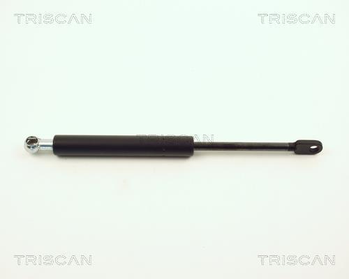 Vérin (Vérin de hayon) Triscan A/S ref. 8710 11217