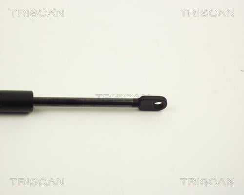 Vérin (Vérin de hayon) Triscan A/S ref. 8710 11217