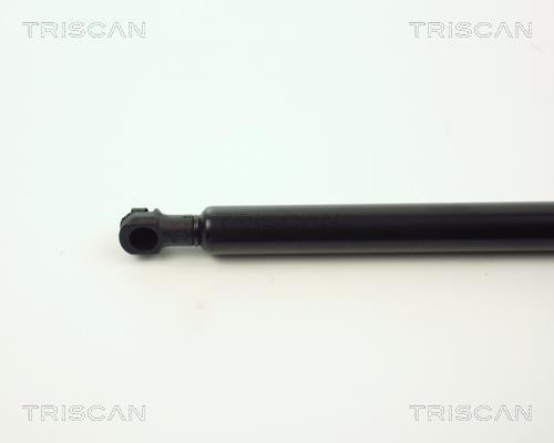 Vérin (Vérin de hayon) Triscan A/S 8710 11218