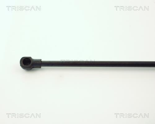 Vérin (Vérin de hayon) Triscan A/S 8710 11218