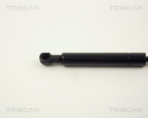 Vérin (Vérin de hayon) Triscan A/S ref. 8710 11219