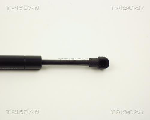 Vérin (Vérin de hayon) Triscan A/S ref. 8710 11219