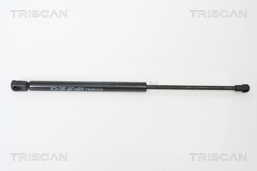 Vérin (Vérin de hayon) Triscan A/S 8710 11224