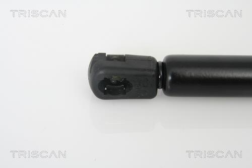 Vérin (Vérin de hayon) Triscan A/S 8710 11224